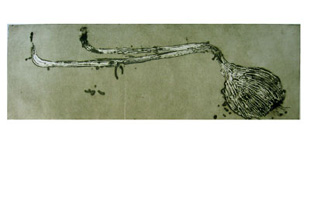 BARCELO : Untitled circa 90, etching