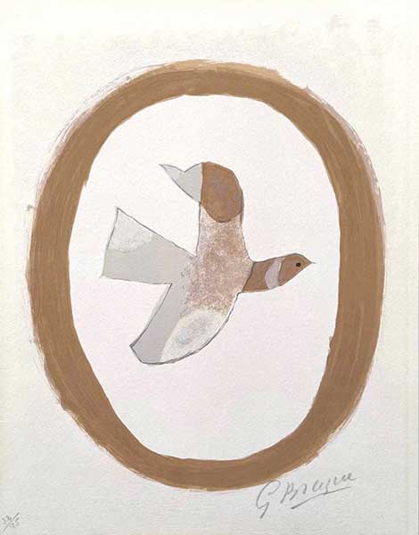 BRAQUE :
oiseau-des-sables-braque